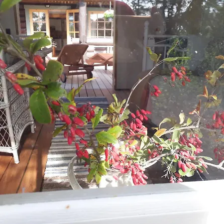 Paehkli Seaside With Cozy Outdoor Patio Koiguste