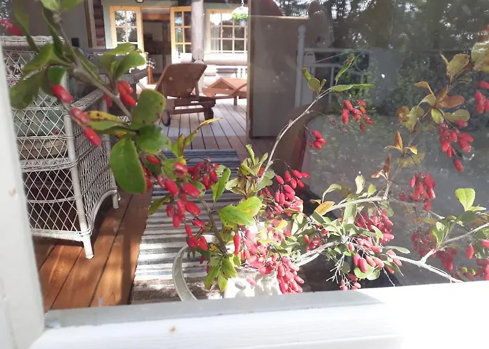 Paehkli Seaside With Cozy Outdoor Patio Koiguste